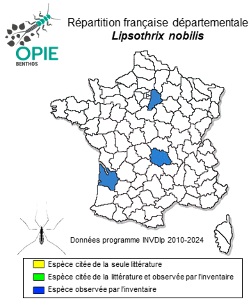 Carte de distribution de Lipsothrix nobilis Loew, 1873