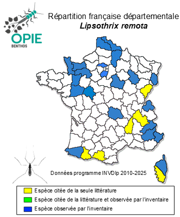 Carte de distribution de Lipsothrix remota (Walker, 1848)