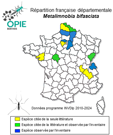 Carte de distribution de Metalimnobia bifasciata (Sckrank, 1781)