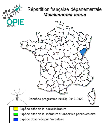 Carte de distribution de Metalimnobia tenua Savchenko, 1976
