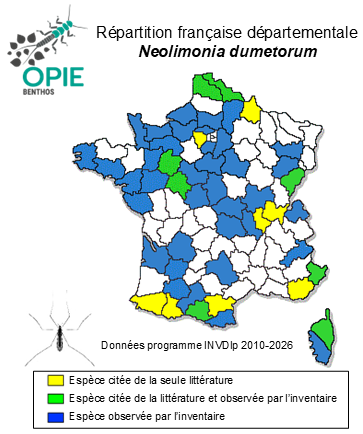 Carte de distribution de Neolimonia dumetorum (Meigen, 1804)