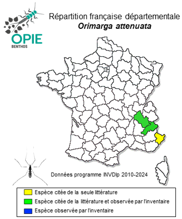 Carte de distribution de Orimarga attenuata (Walker, 1848)