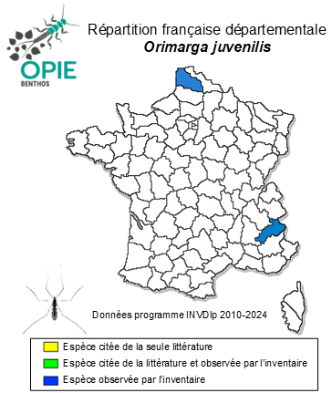 Carte de distribution de Orimarga juvenilis (Zetterstedt, 1851)