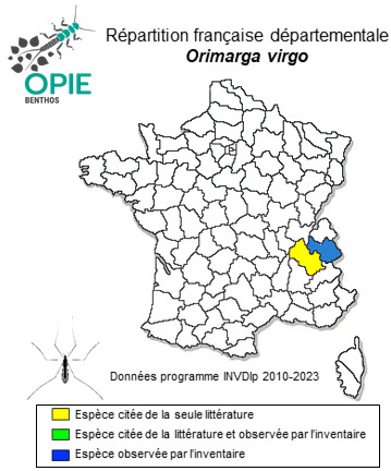 Carte de distribution de Orimarga virgo (Zetterstedt, 1851)