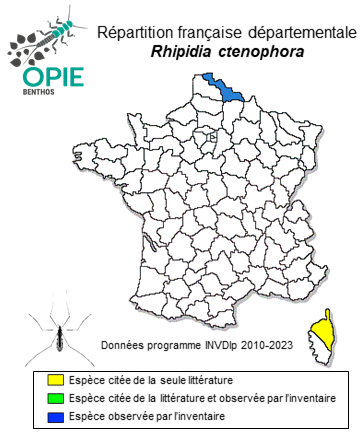 Carte de distribution de Rhipidia ctenophora Loew, 1871