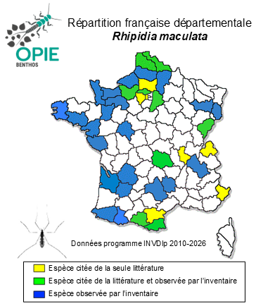 Carte de distribution de Rhipidia maculata Meigen, 1818