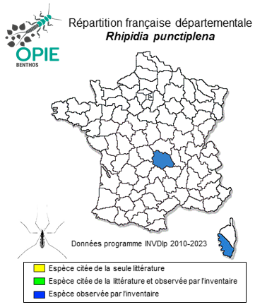 Carte de distribution de Rhipidia punctiplena Mik, 1887