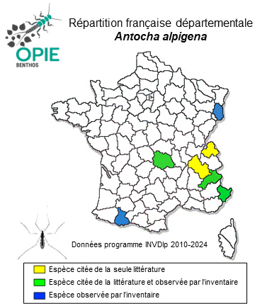 Carte de distribution de Antocha alpigena (Mik, 1883)