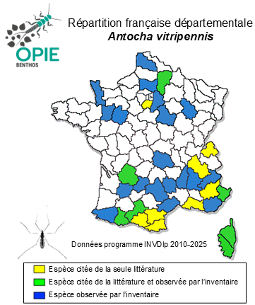 Carte de distribution de Antocha vitripennis (Meigen, 1830)