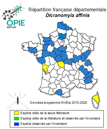 Carte de distribution de Dicranomyia affinis (Schummel, 1829)