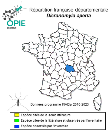 Carte de distribution de Dicranomyia aperta Wahlgren, 1904
