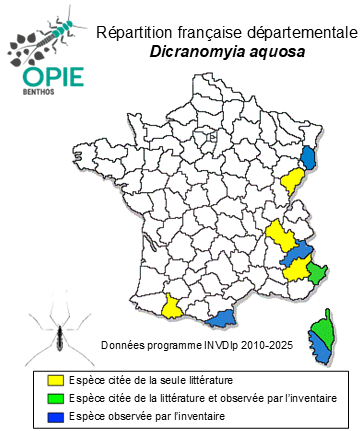 Carte de distribution de Dicranomyia aquosa Verrall, 1886