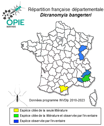 Carte de distribution de Dicranomyia bangerteri (Mendl, 1974)