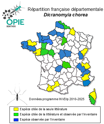 Carte de distribution de Dicranomyia chorea (Meigen, 1818)