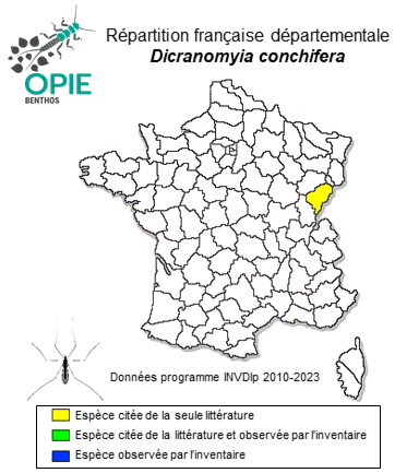 Carte de distribution de Dicranomyia conchifera (Strobl, 1900)