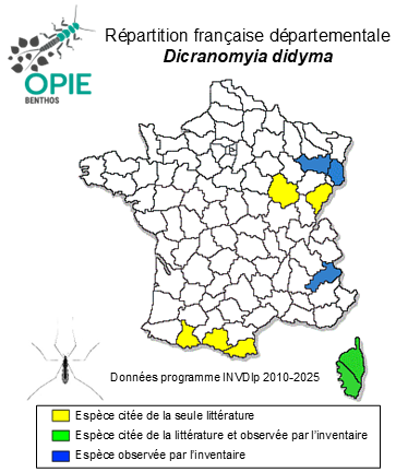 Carte de distribution de Dicranomyia didyma (Meigen, 1804)