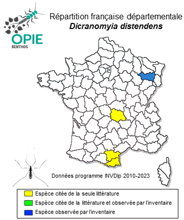 Carte de distribution de Dicranomyia distendens Lundstrӧm, 1912