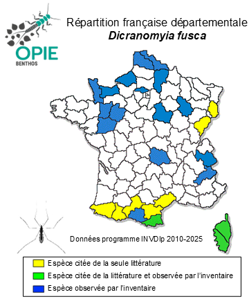 Carte de distribution de Dicranomyia fusca (Meigen, 1804)