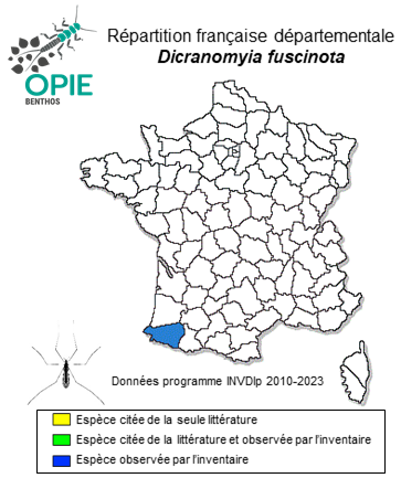 Carte de distribution de Dicranomyia fuscinota Starý, 2009