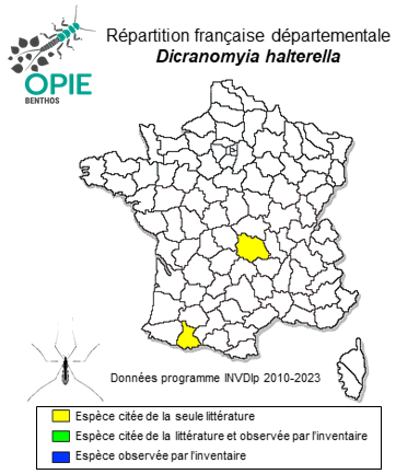 Carte de distribution de Dicranomyia halterella Edwards, 1921