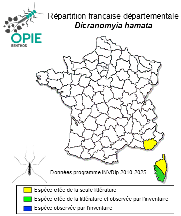 Carte de distribution de Dicranomyia hamata Becker, 1908