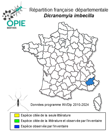 Carte de distribution de Dicranomyia imbecilla Lackschewitz, 1941