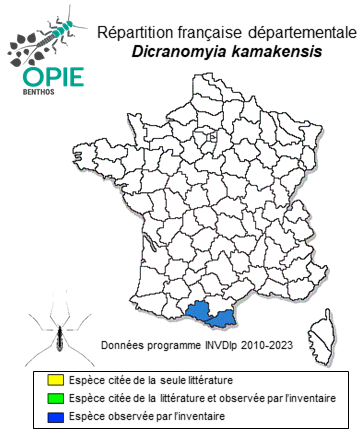 Carte de distribution de Dicranomyia kamakensis Starý, 1993