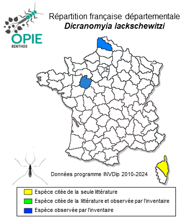 Carte de distribution de Dicranomyia lackschewitzi Edwards, 1928