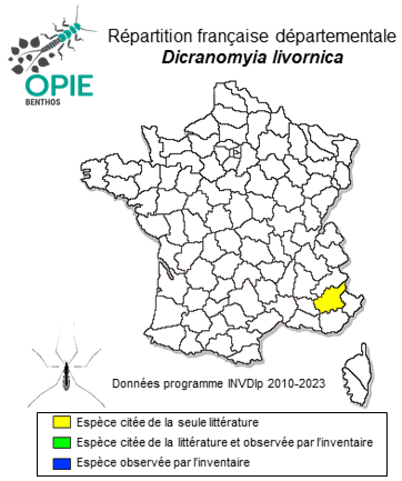 Carte de distribution de Dicranomyia livornica Lackschewitz, 1928