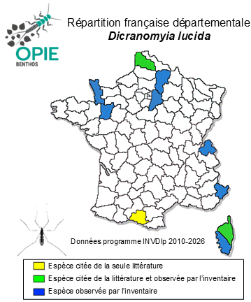 Carte de distribution de Dicranomyia lucida de Meijere, 1918