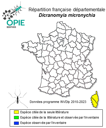 Carte de distribution de Dicranomyia micronychia Lackschewitz, 1941