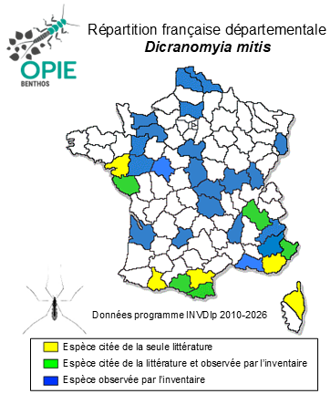 Carte de distribution de Dicranomyia mitis (Meigen, 1830)