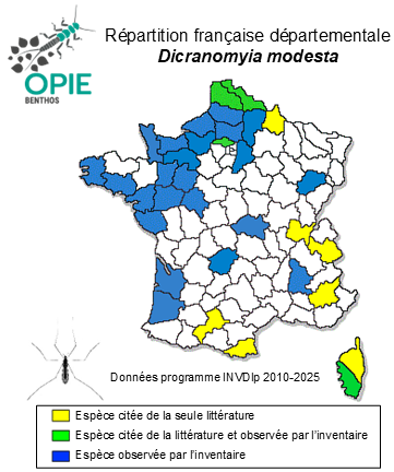 Carte de distribution de Dicranomyia modesta (Meigen, 1818)