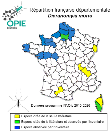 Carte de distribution de Dicranomyia morio (Fabricius, 1787)