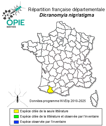 Carte de distribution de Dicranomyia nigristigma Nielsen, 1919