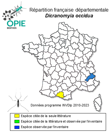 Carte de distribution de Dicranomyia occidua Edwards, 1926