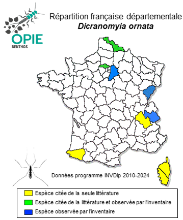 Carte de distribution de Dicranomyia ornata (Meigen, 1818)
