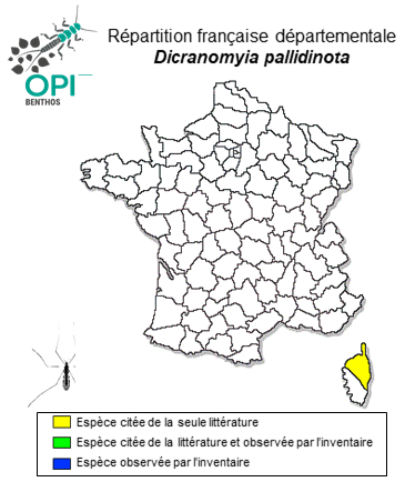 Carte de distribution de Dicranomyia pallidinota Starý, 2009