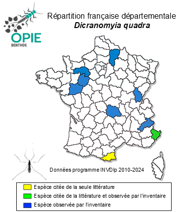 Carte de distribution de Dicranomyia quadra (Meigen, 1838)