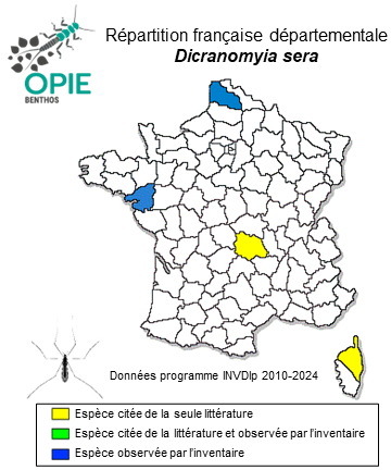 Carte de distribution de Dicranomyia sera (Walker, 1848)