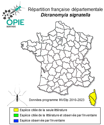 Carte de distribution de Dicranomyia signatella Starý & Freidberg, 2007