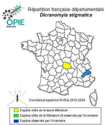 Carte de distribution de Dicranomyia stigmatica (Meigen, 1830)