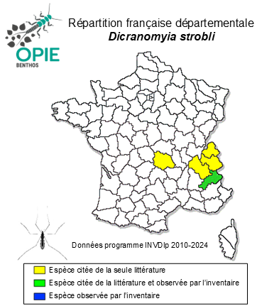 Carte de distribution de Dicranomyia strobli Pagast, 1941