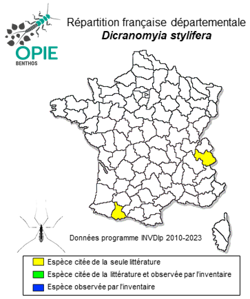 Carte de distribution de Dicranomyia stylifera Lackschewitz, 1928