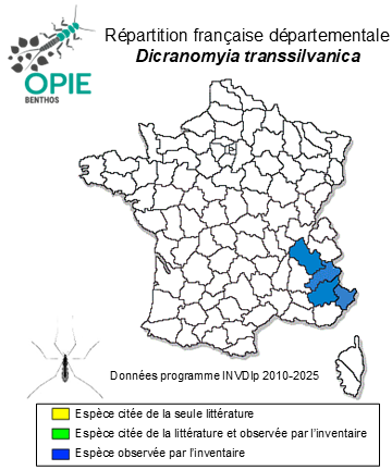 Carte de distribution de Dicranomyia transsilvanica Lackschewitz, 1928