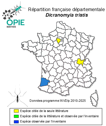 Carte de distribution de Dicranomyia tristis (Schummel, 1829)