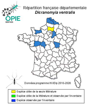 Carte de distribution de Dicranomyia ventralis (Schummel, 1829)