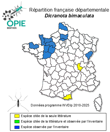 Carte de distribution de Dicranota bimaculata Schummel, 1829