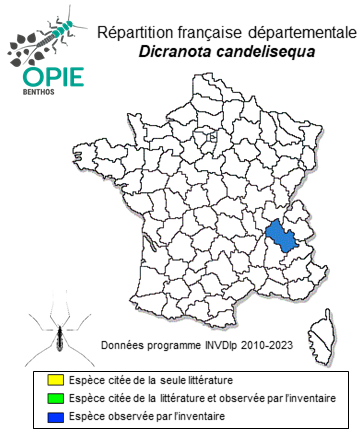 Carte de distribution de Dicranota candelisequa Starý, 1981