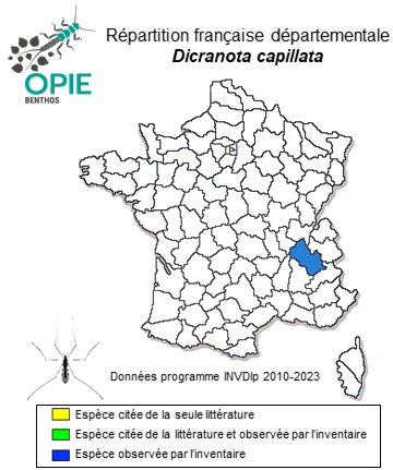 Carte de distribution de Dicranota capillata Lackschewitz, 1940